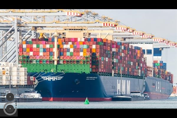 گزارش هفتگی بازار فولاد