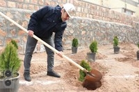 روز درختکاری در شرکت فولادغرب آسیا