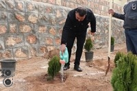 روز درختکاری در شرکت فولادغرب آسیا