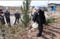 کاشت 1000 اصله درخت در شرکت فولاد غرب آسیا