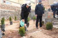 روز درختکاری در شرکت فولادغرب آسیا