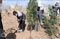 کاشت 1000 اصله درخت در شرکت فولاد غرب آسیا