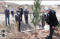 کاشت 1000 اصله درخت در شرکت فولاد غرب آسیا
