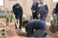 روز درختکاری در شرکت فولادغرب آسیا