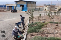 کاشت 1000 اصله درخت در شرکت فولاد غرب آسیا