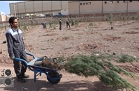 کاشت 1000 اصله درخت در شرکت فولاد غرب آسیا