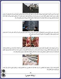 خبرنامه شرکت فولاد غرب آسیا 991203