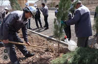 کاشت 1000 اصله درخت در شرکت فولاد غرب آسیا