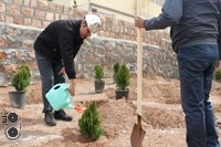 روز درختکاری در شرکت فولادغرب آسیا